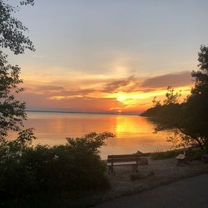 Meet your Posher, Lucy